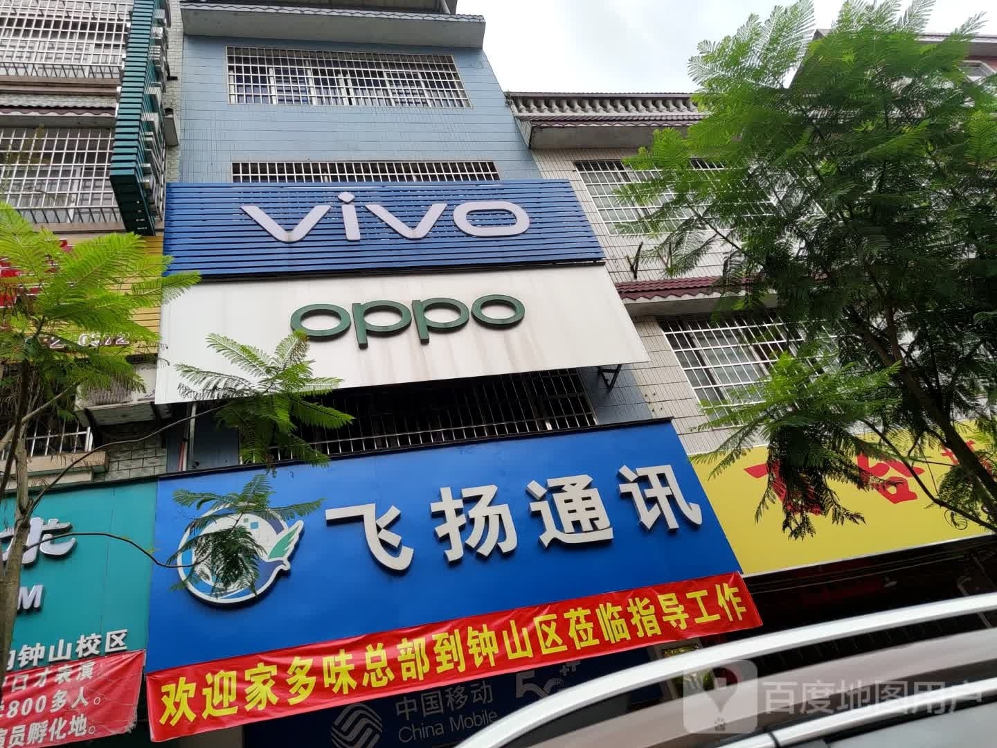 vivo