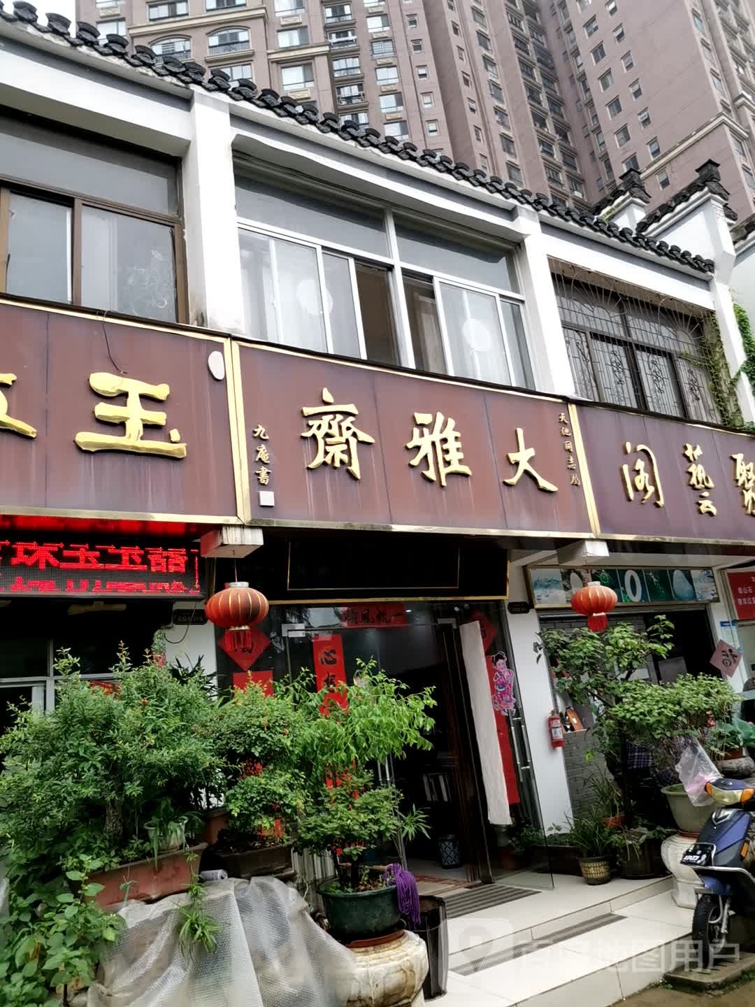 大雅斋(合肥市裕丰花鸟虫鱼市场店)