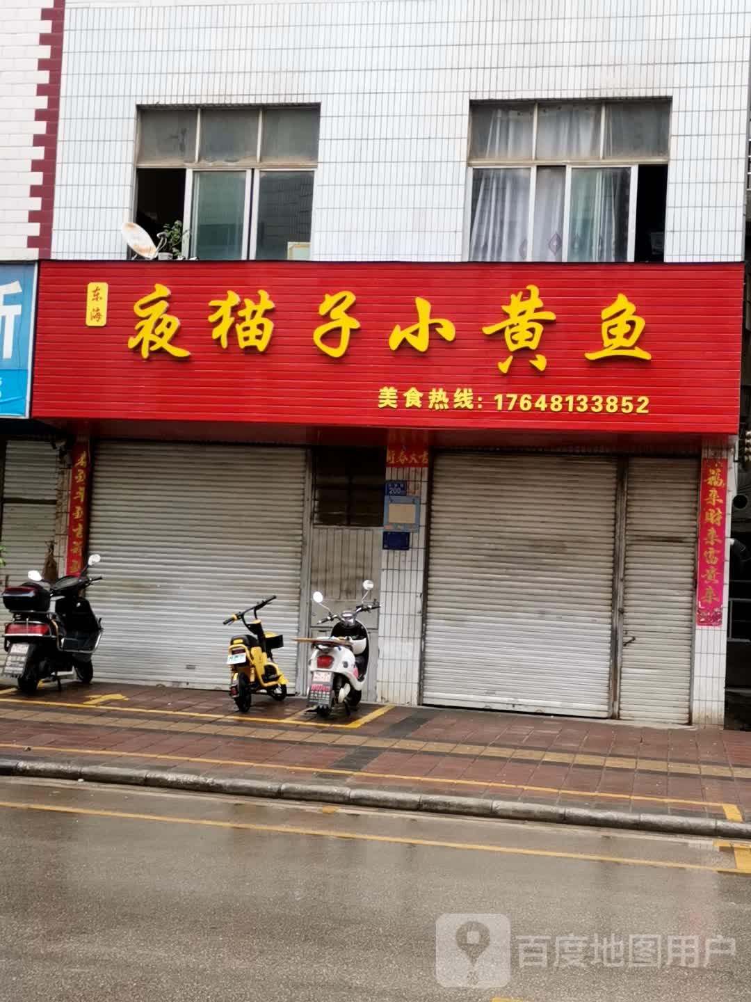 东海夜猫子小黄鱼