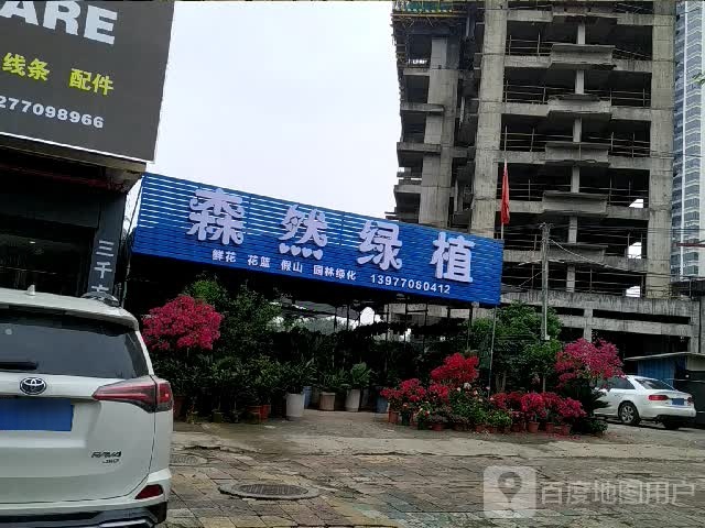 森然绿植
