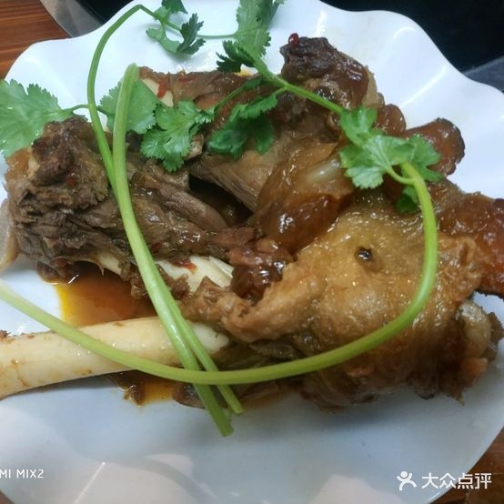 藏书羊肉(石路东海里店)
