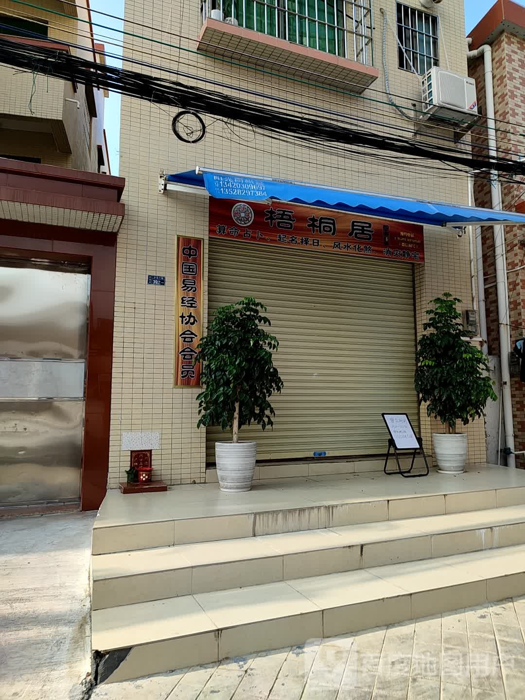 梧桐居