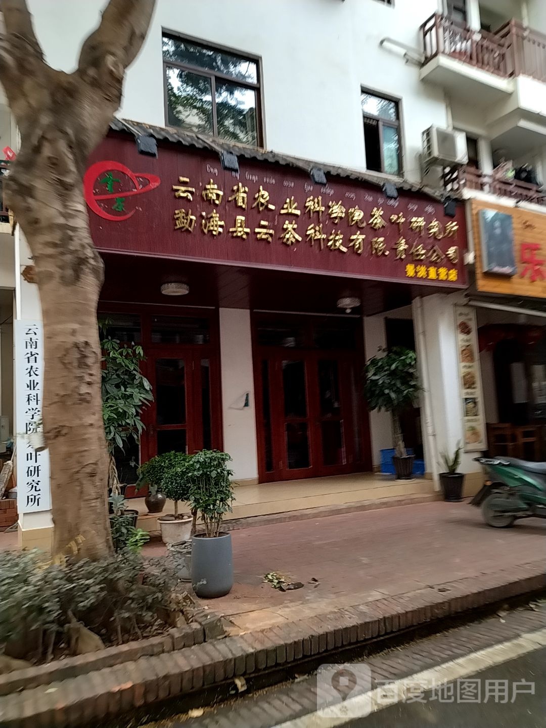 云南省农业科学院茶叶研究院(景洪云茶直营店)