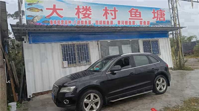 大楼村鱼塘