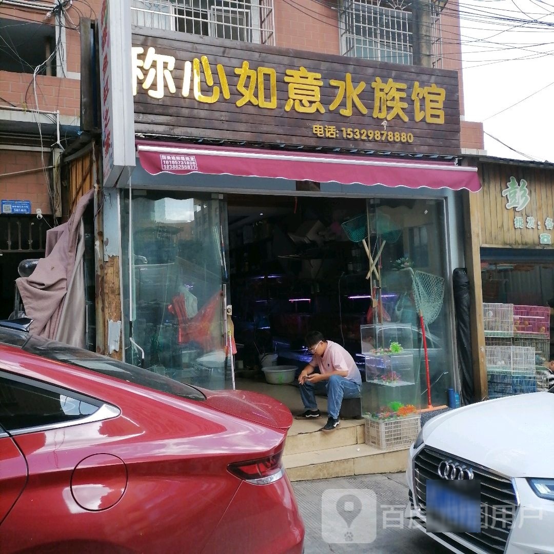 毕节称心如意水族