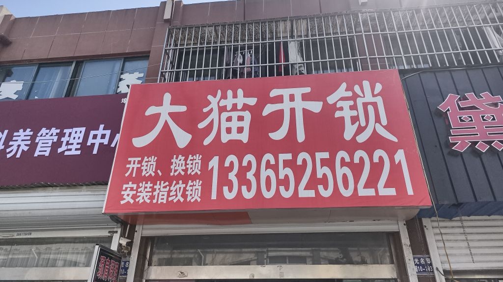 大猫开锁