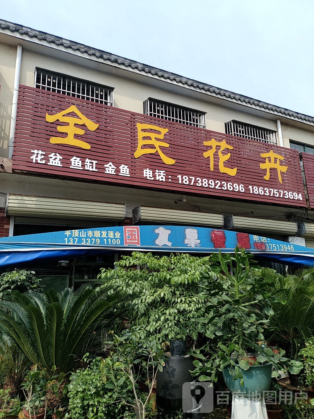 全民花卉