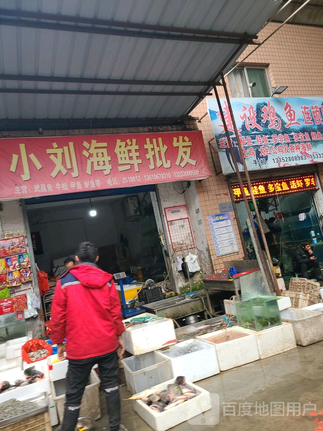 小刘海鲜批发
