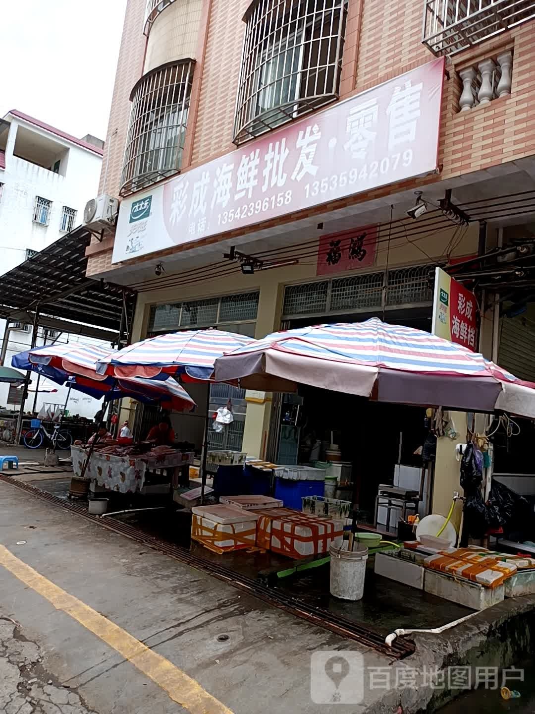 彩成海鲜批发