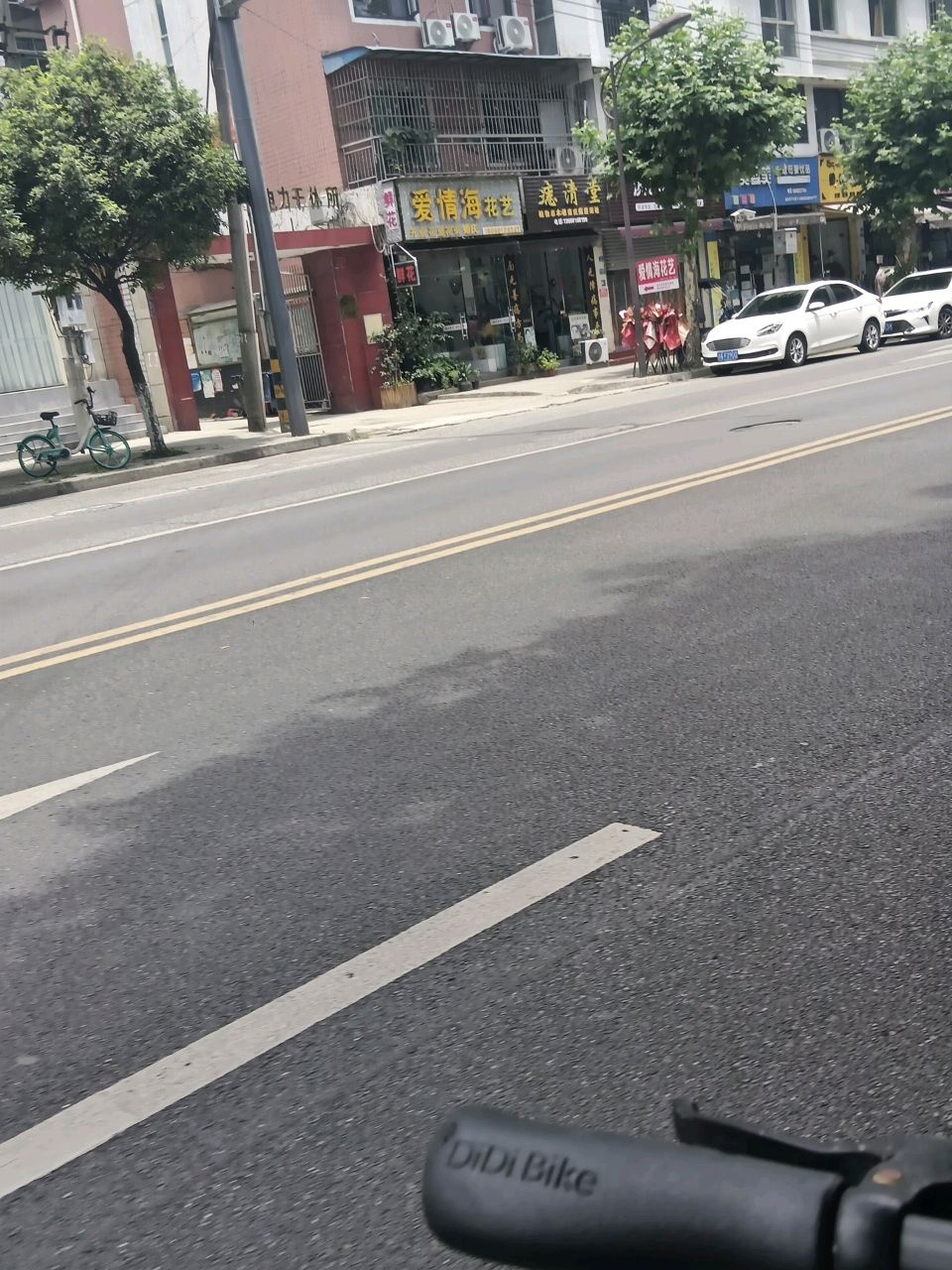 爱情海花艺