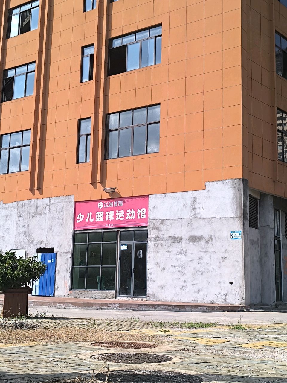 飞尚体育少儿篮球运动馆(龙岗店)