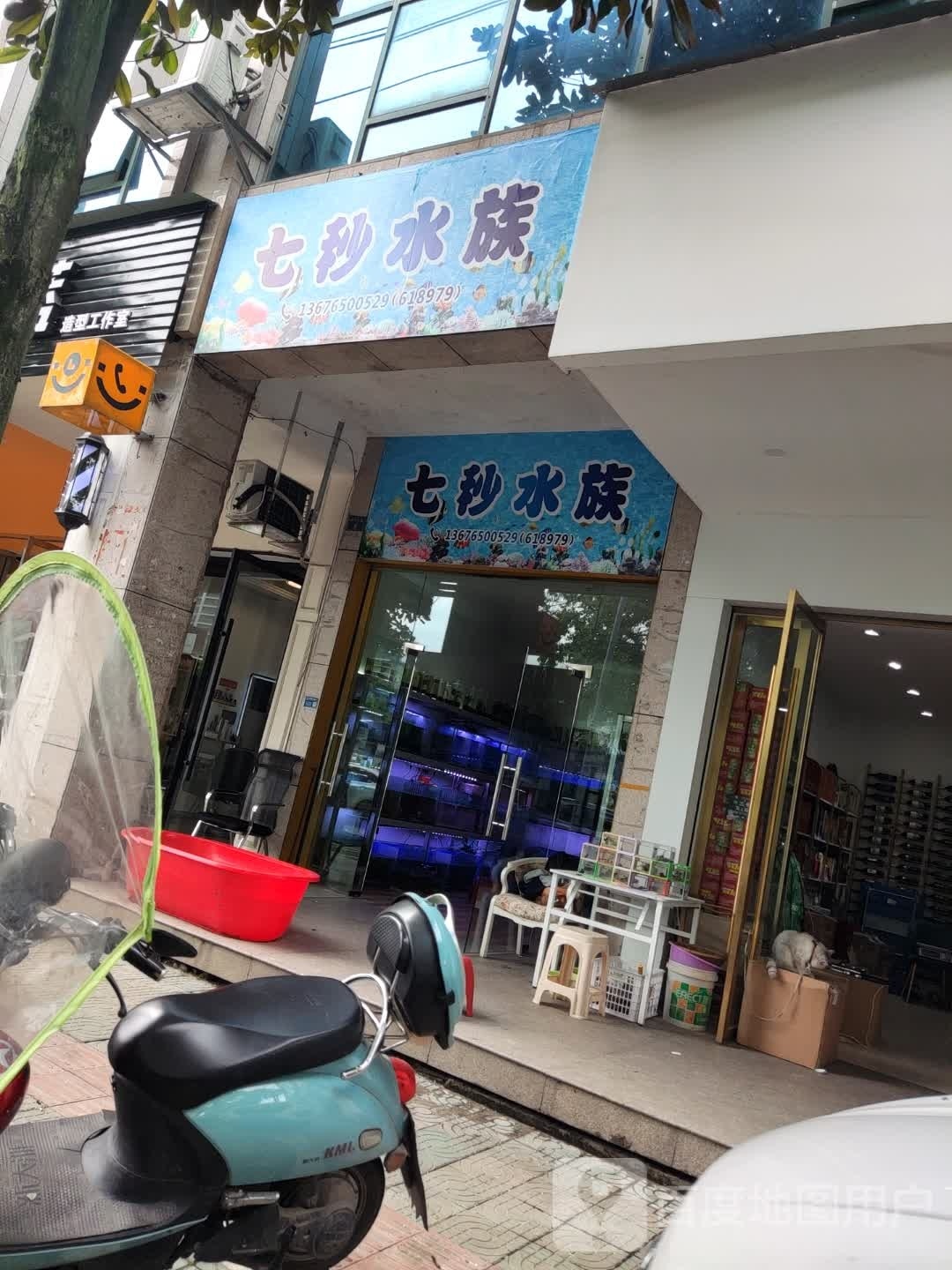 七秒水族(浮云东路店)