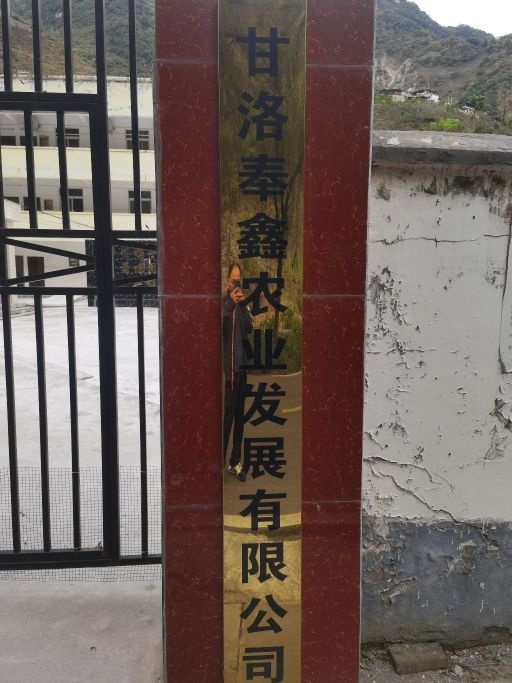 甘洛奉鑫农业发展有限公司