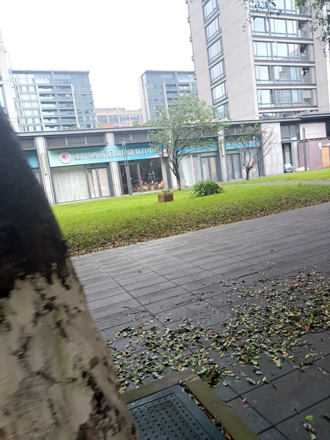 重庆(西南)妇幼健康教育中心