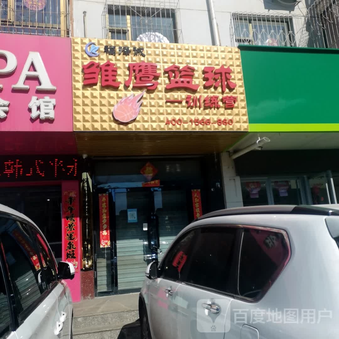 福泽诚雏鹰篮球训练营