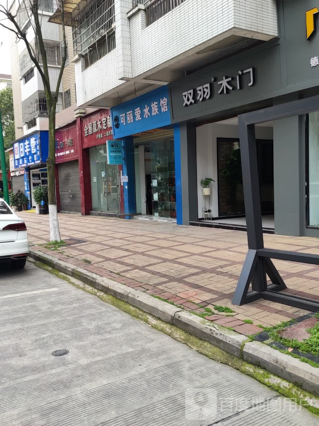 可丽爱水族管