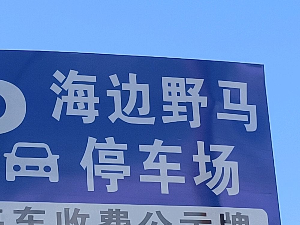 海边野马停车场