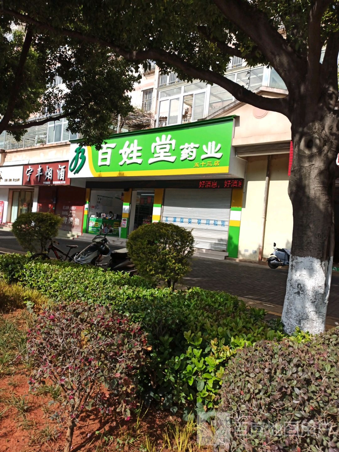 宁丰烟酒(东风北路店)