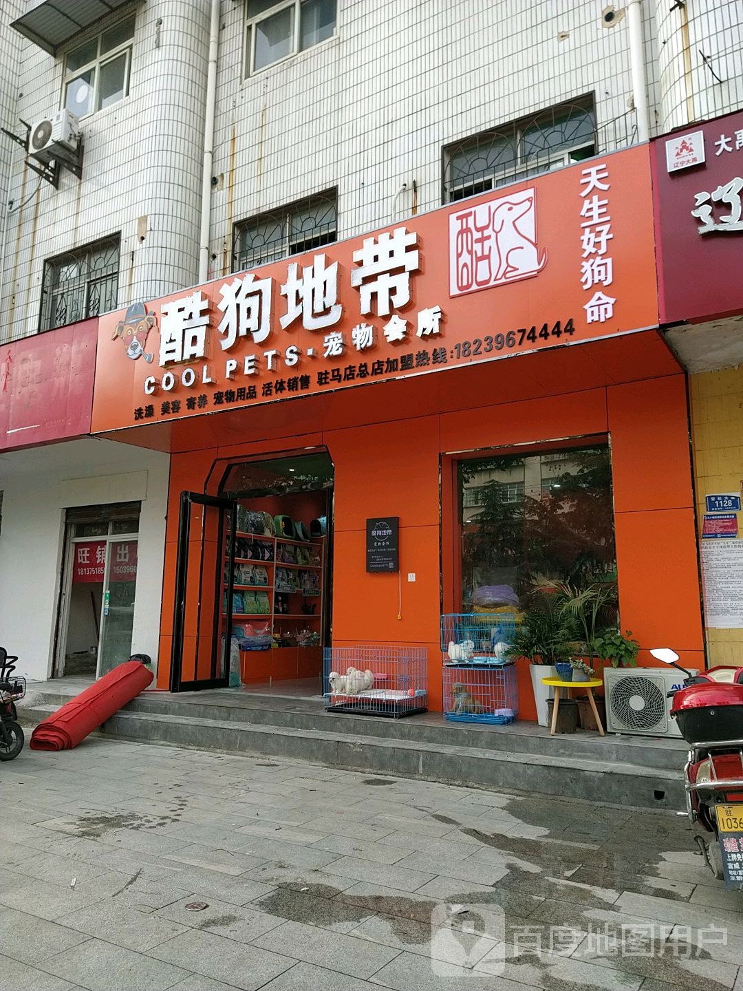 酷狗地带宠物会所(驻马店总店)