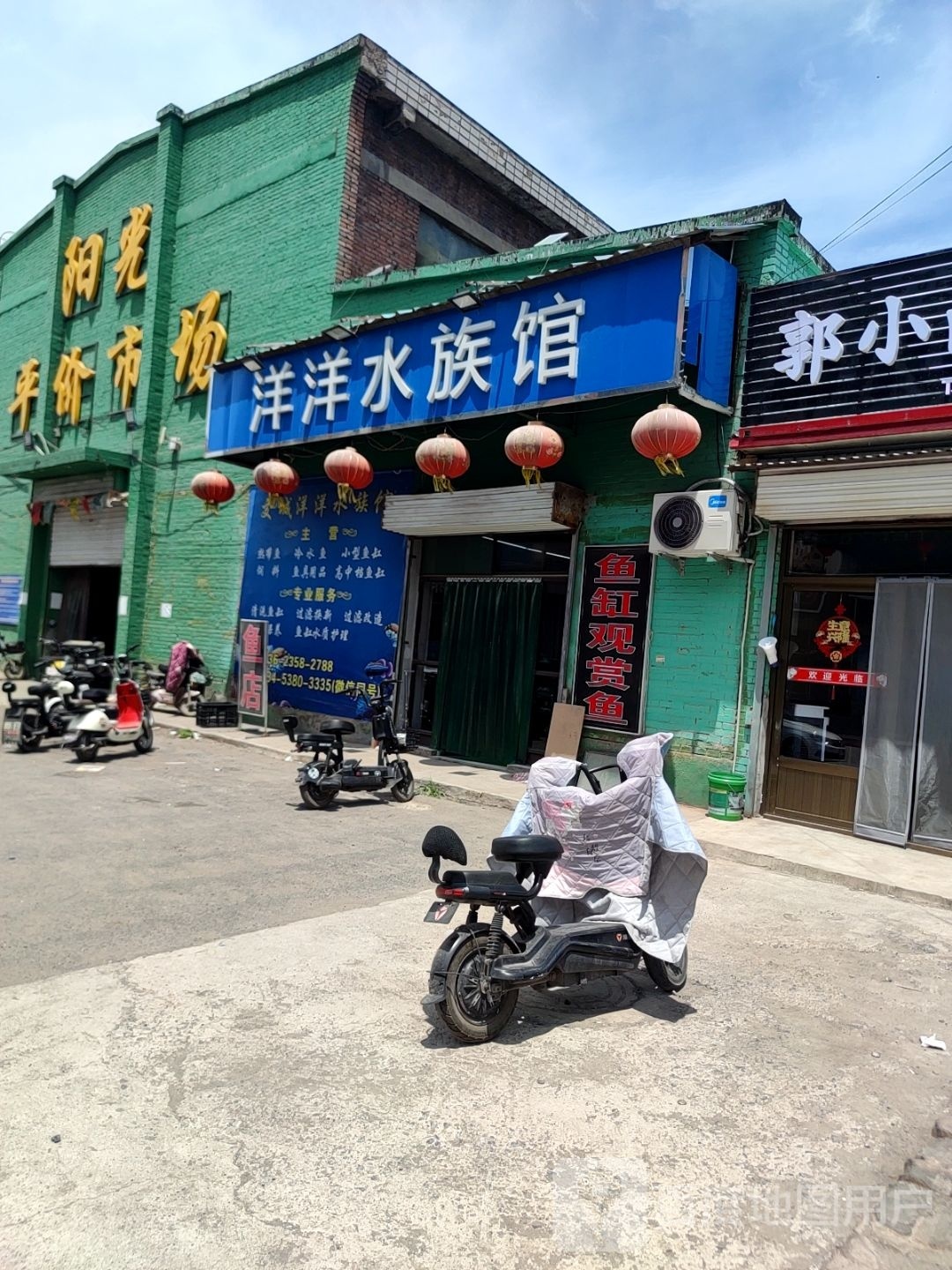 洋洋水族馆