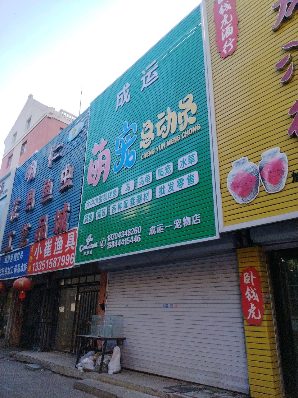 观赏鱼观赏鸟
