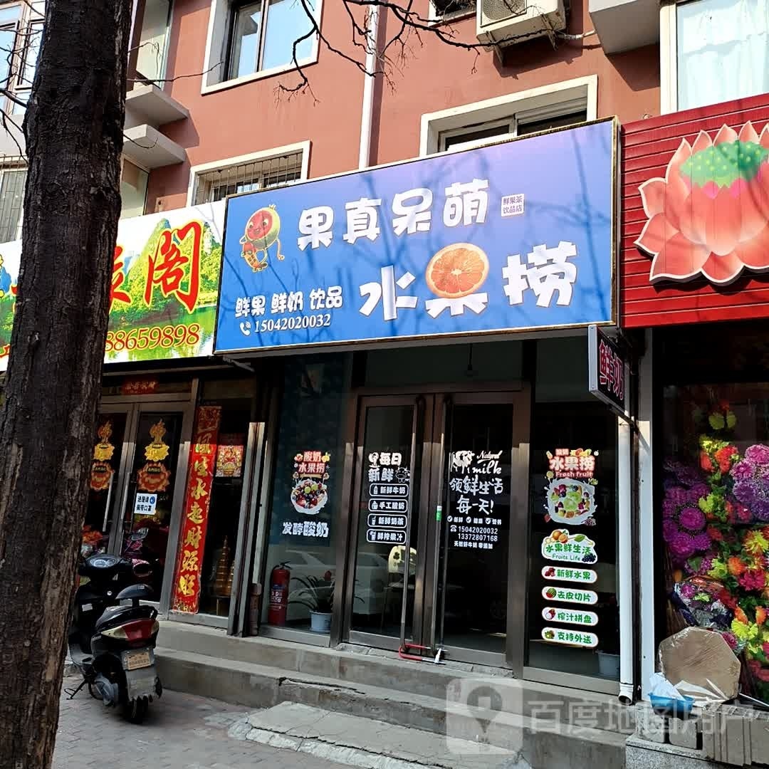 果真呆萌睡过捞