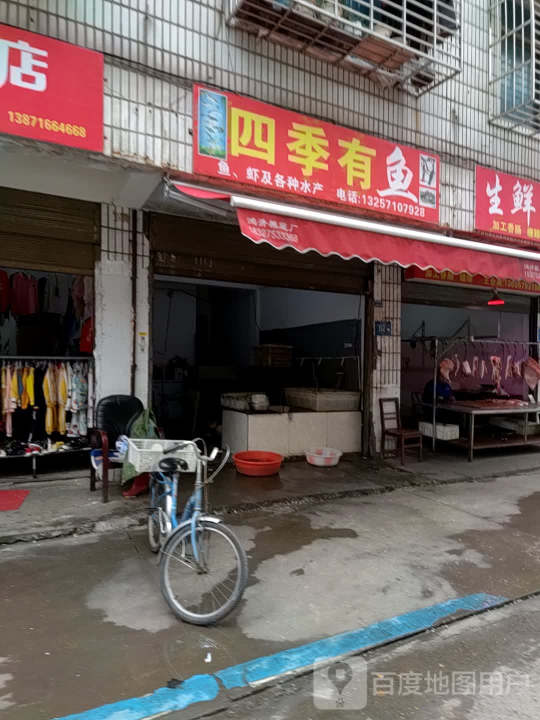 四季有鱼