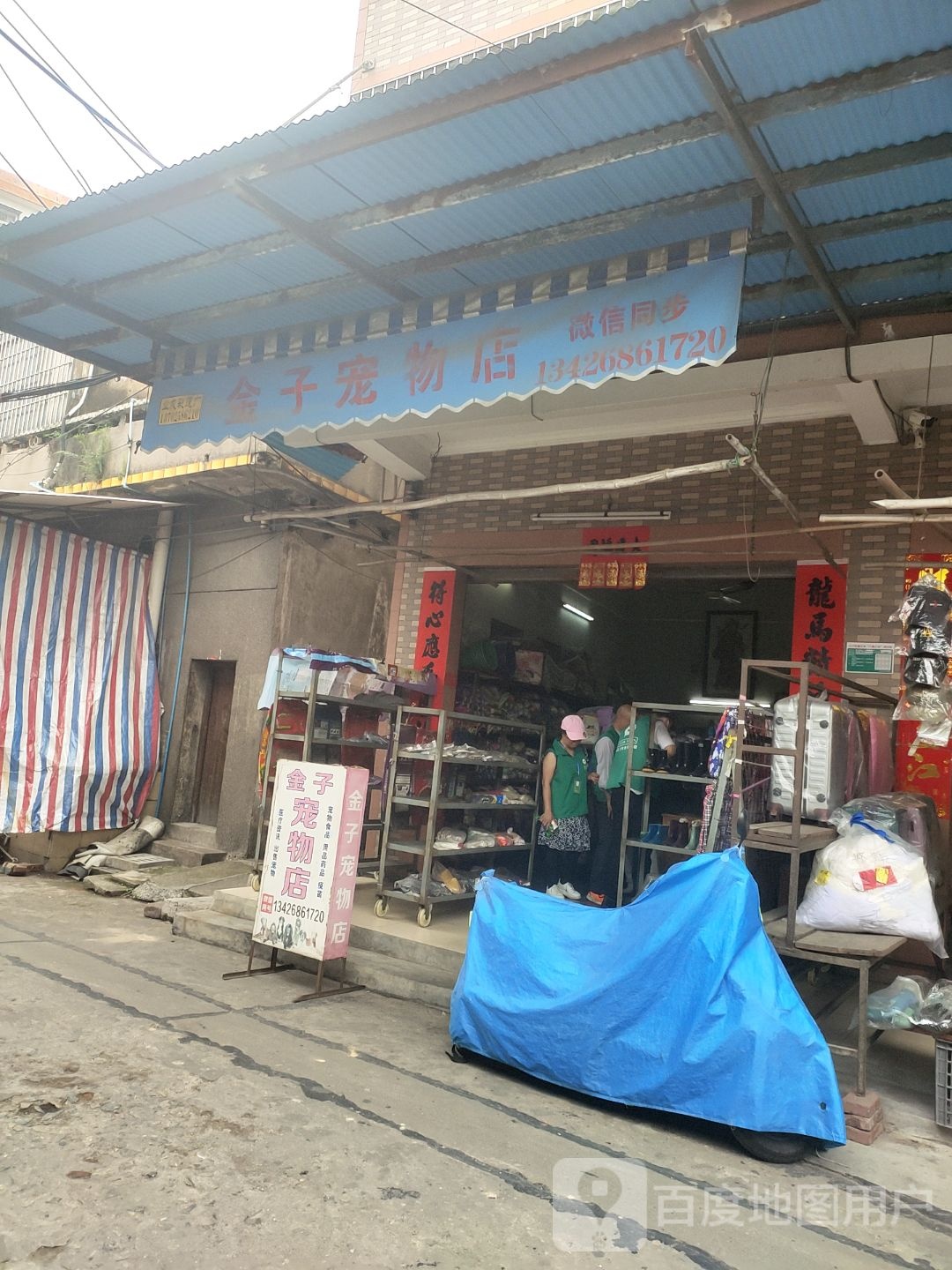 金子宠物店