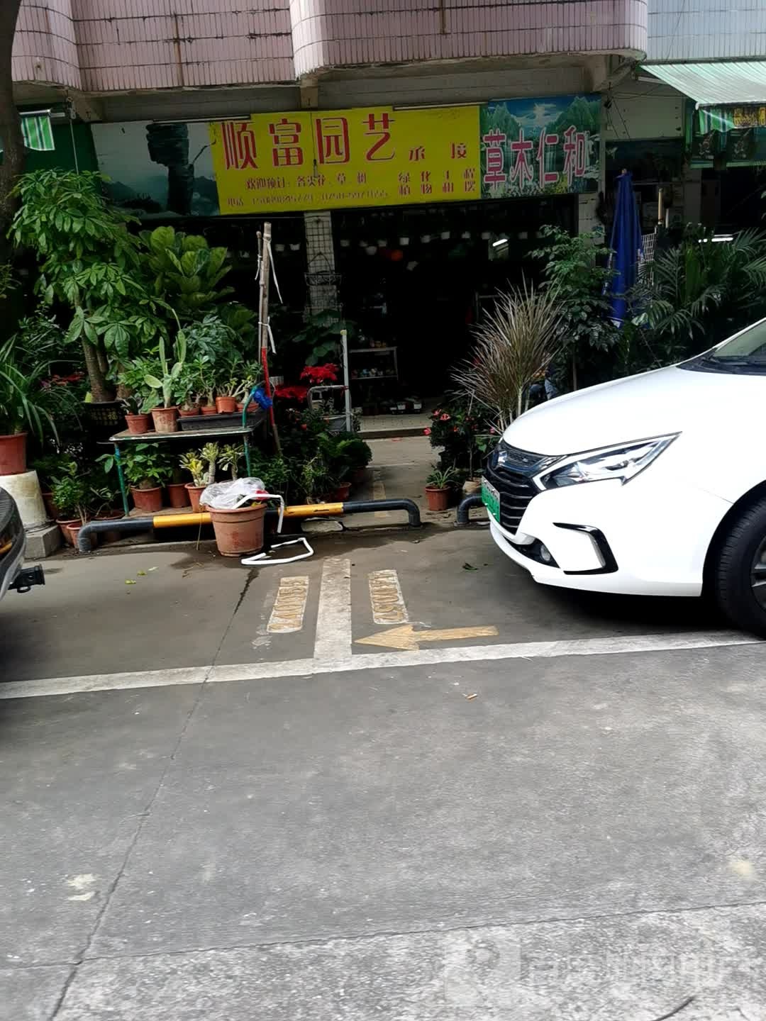 草木仁和