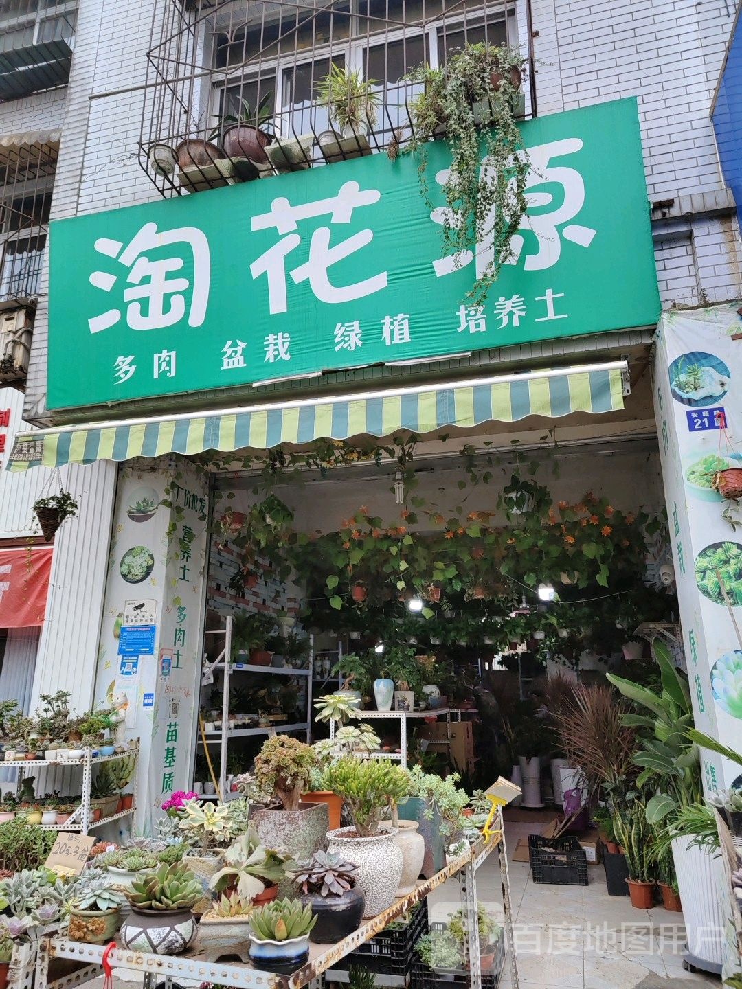 淘花源(安顺路店)