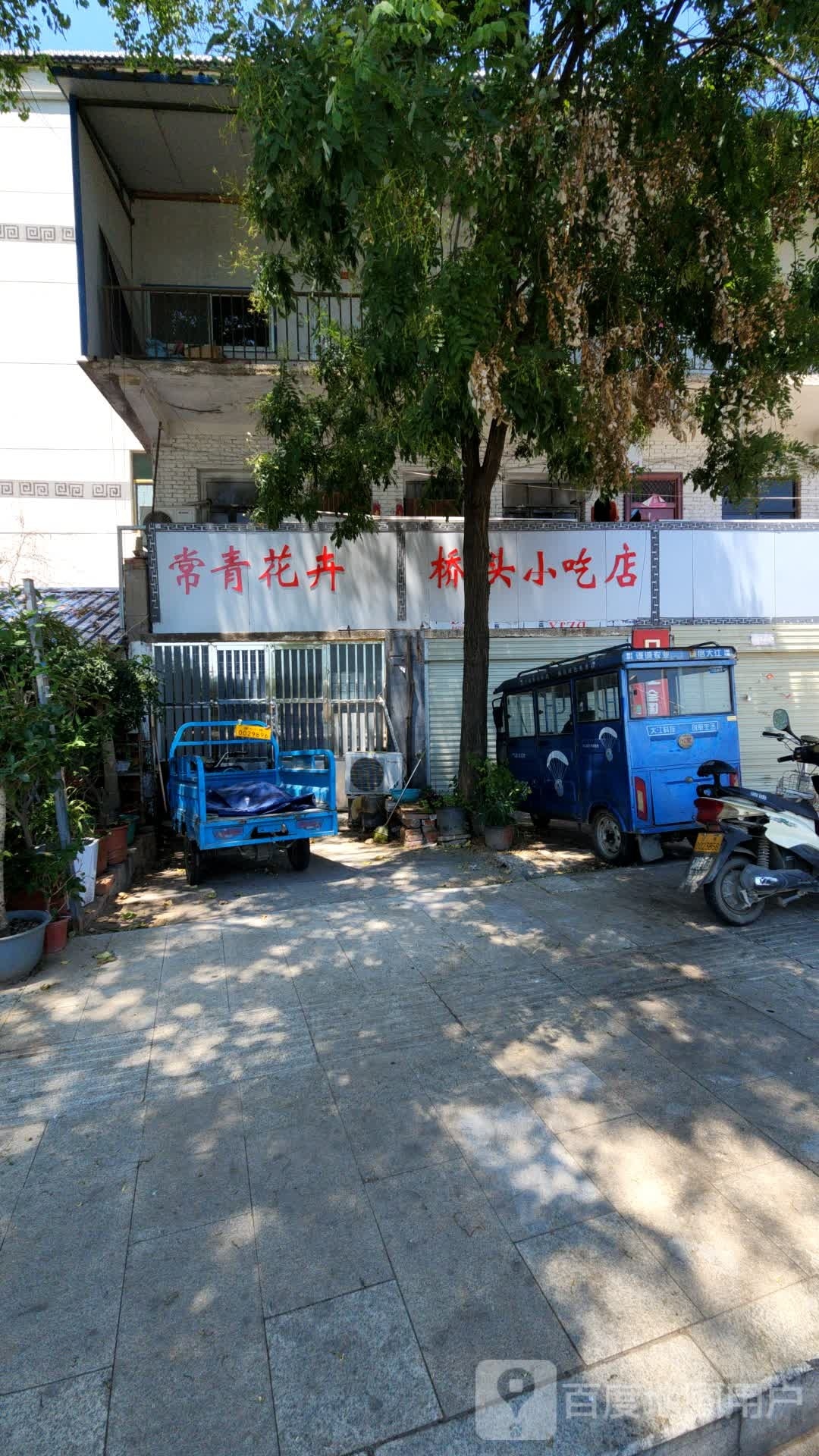 泌阳县常青花卉(泌水北路店)