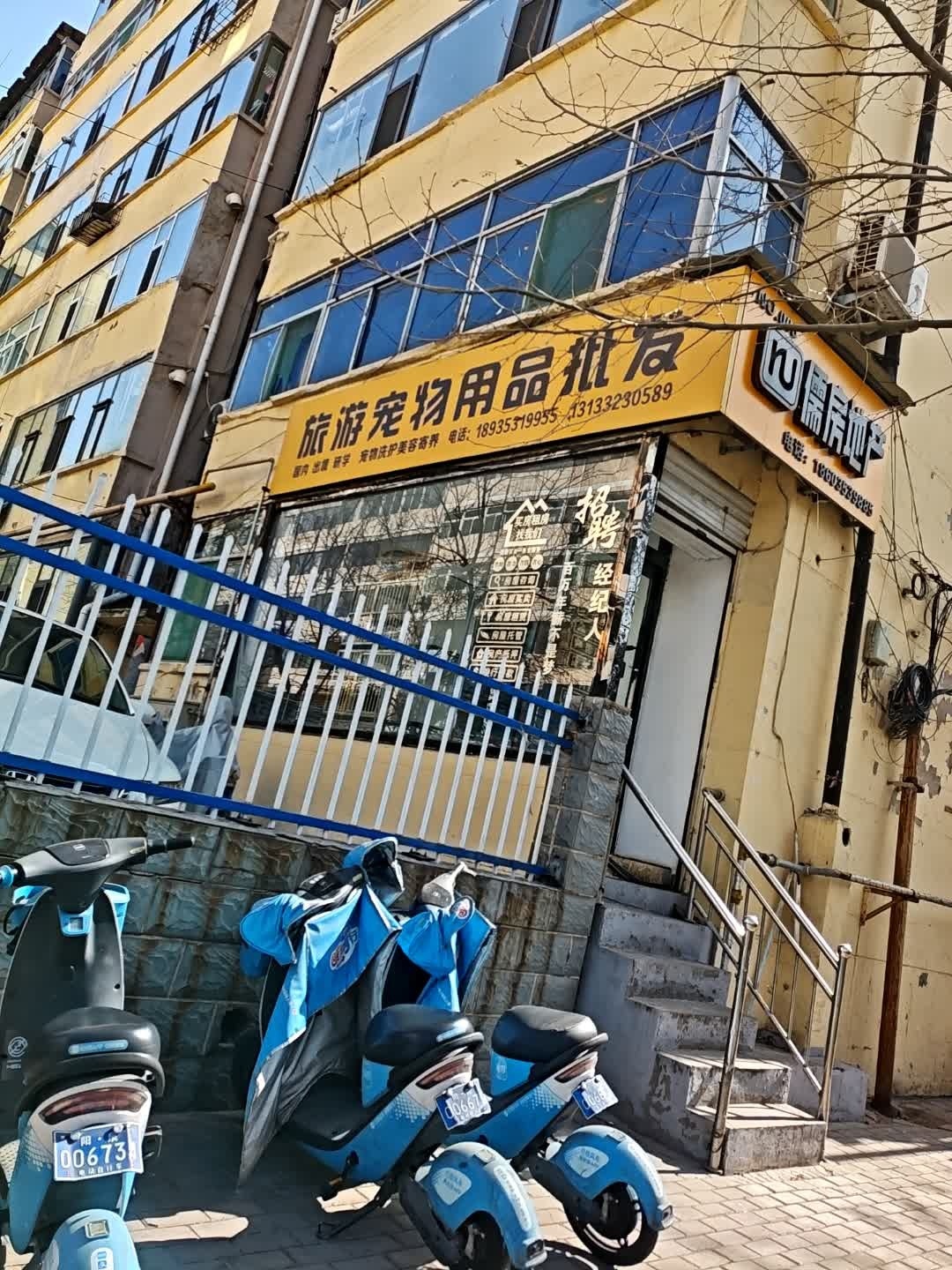 旅游宠物用品批发