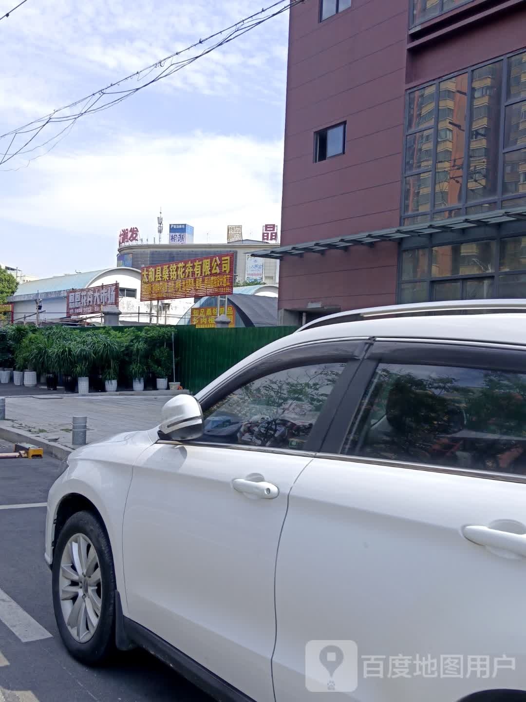 恩恩花卉大市场