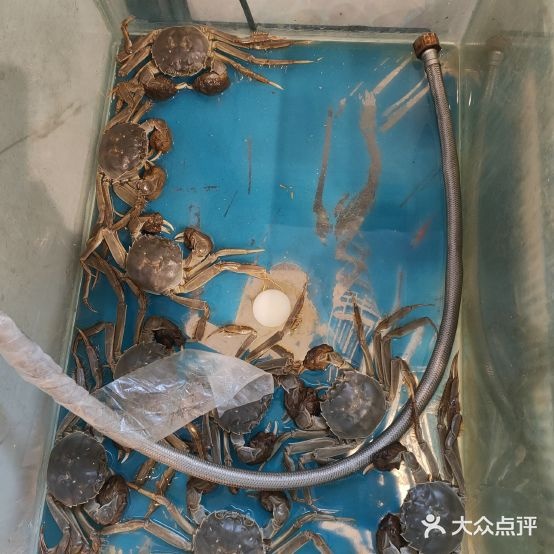 捞一把海先自助火锅烤肉(龙港店)