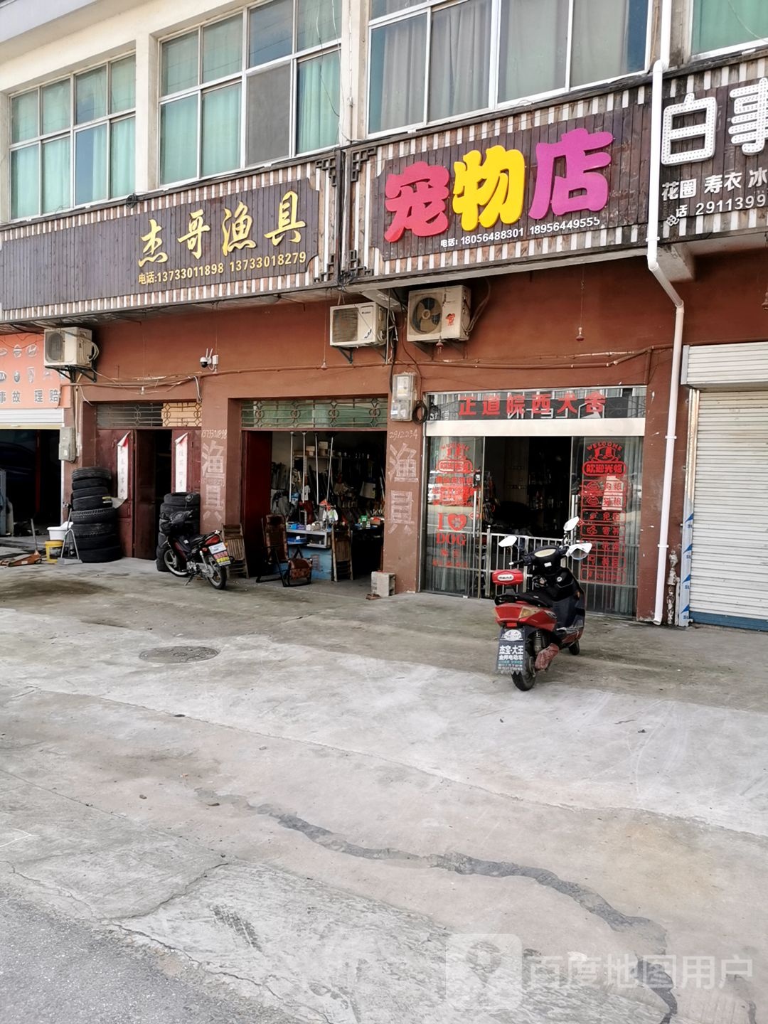 独山动物店
