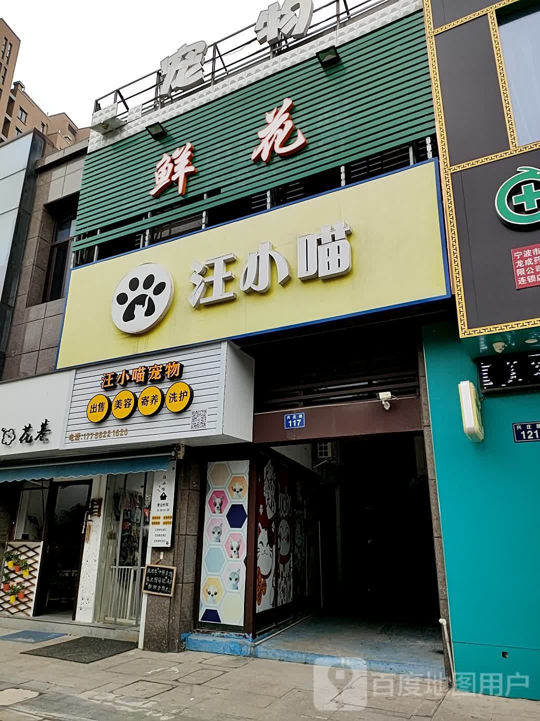 汪小喵宠物店(庄市店)