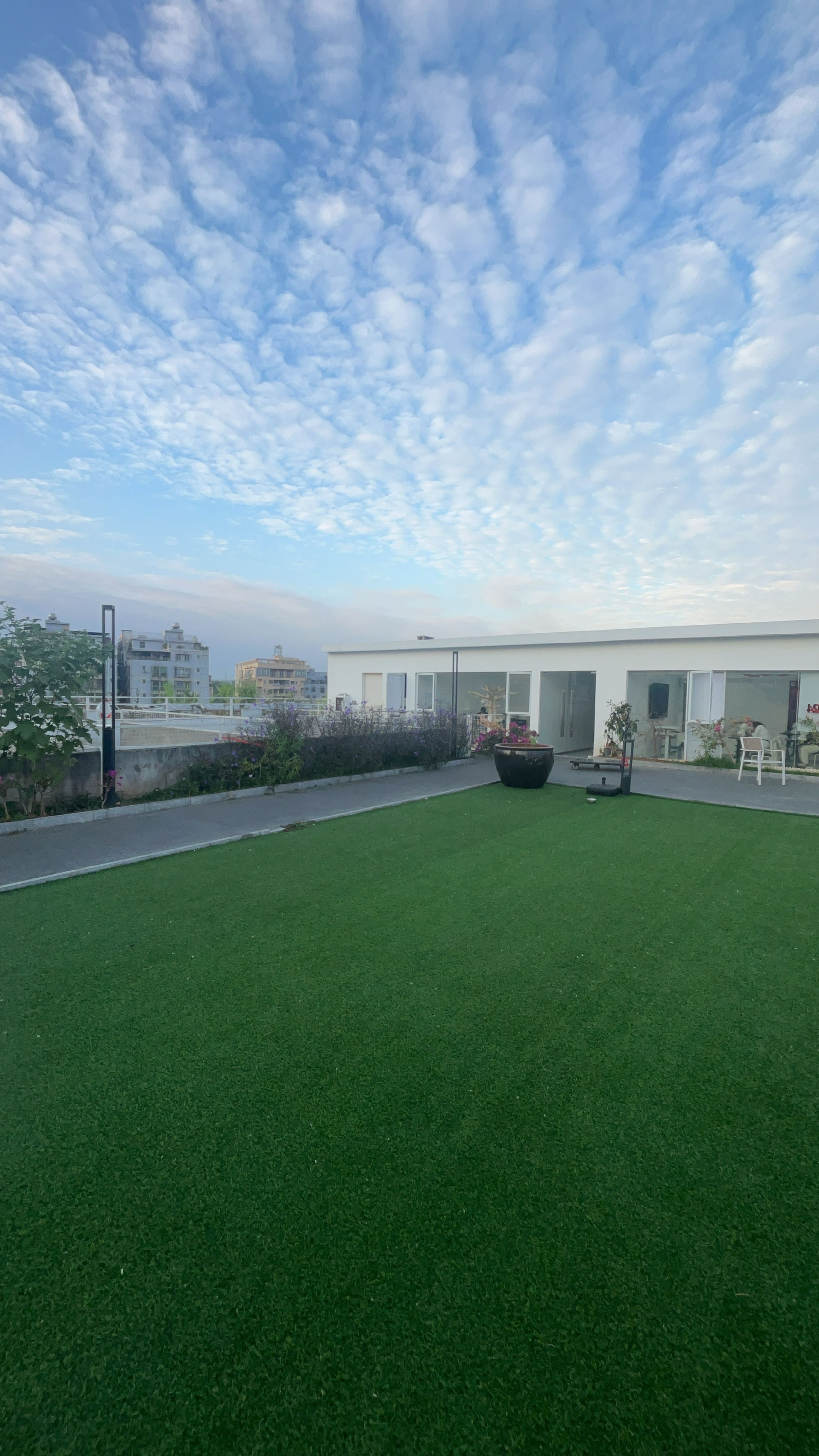 深圳印象宠物美容培训