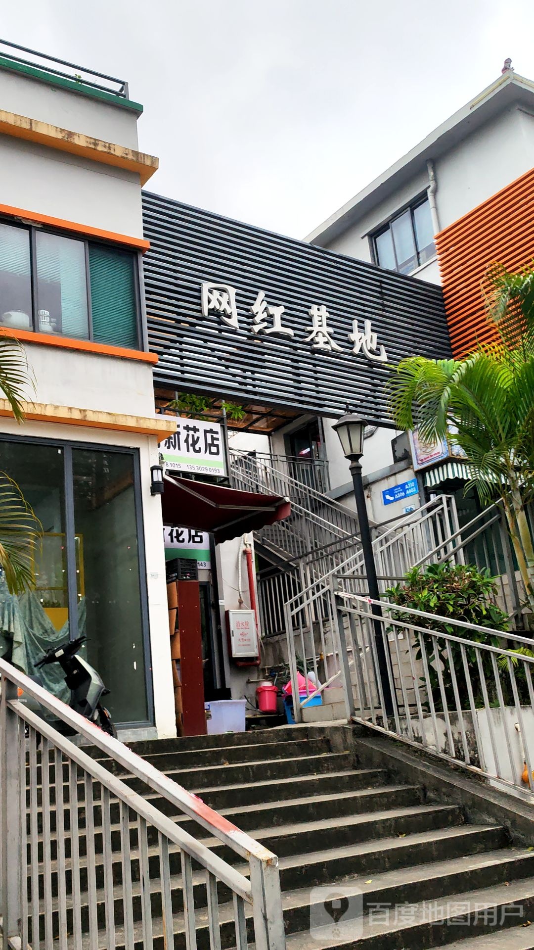 网红基地
