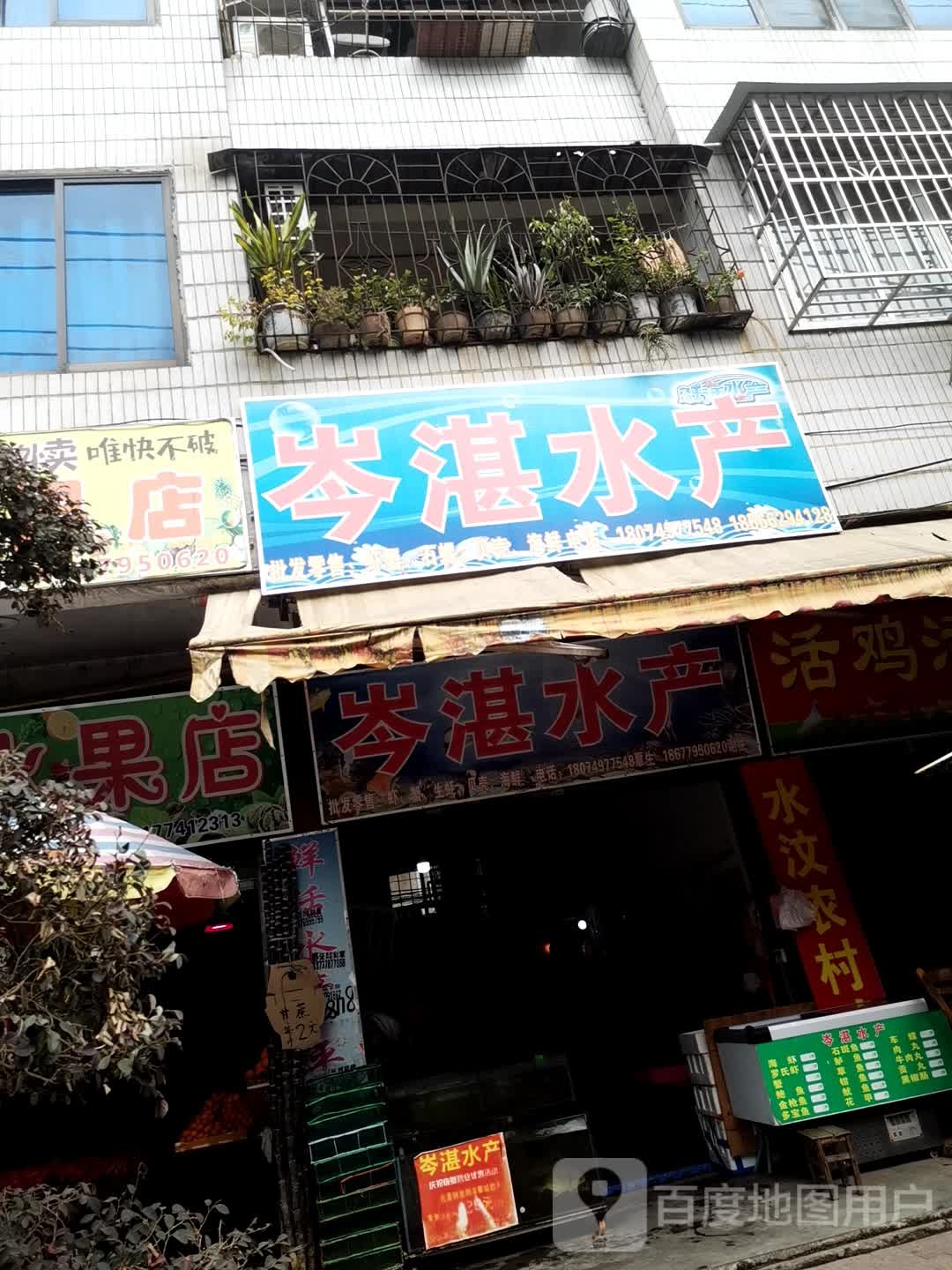 岑湛水产