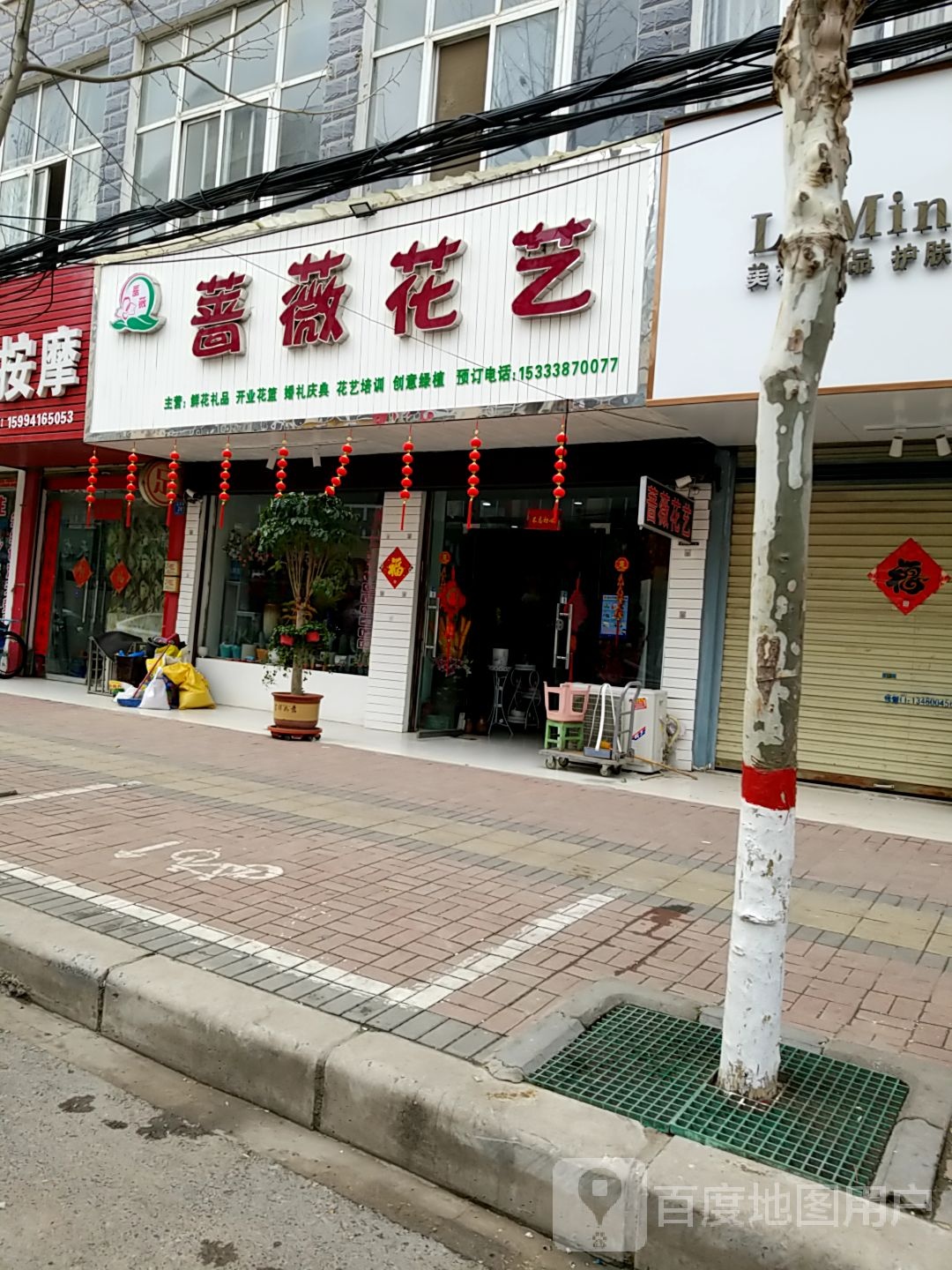 郸城县蔷薇花艺(府西路店)