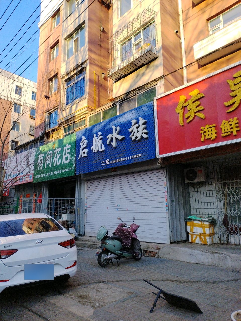 启航水族(安居为民小区店)