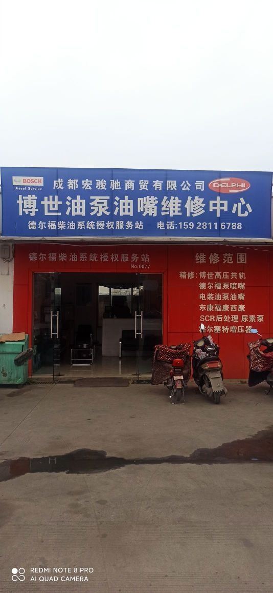 博世油泵白师