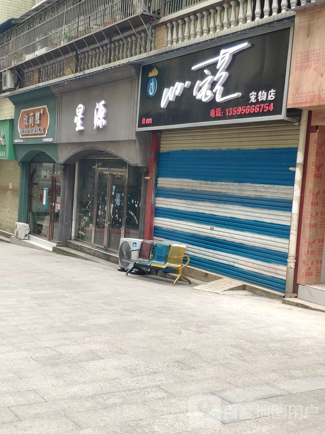 WO宠艺宠物店(人民路店)