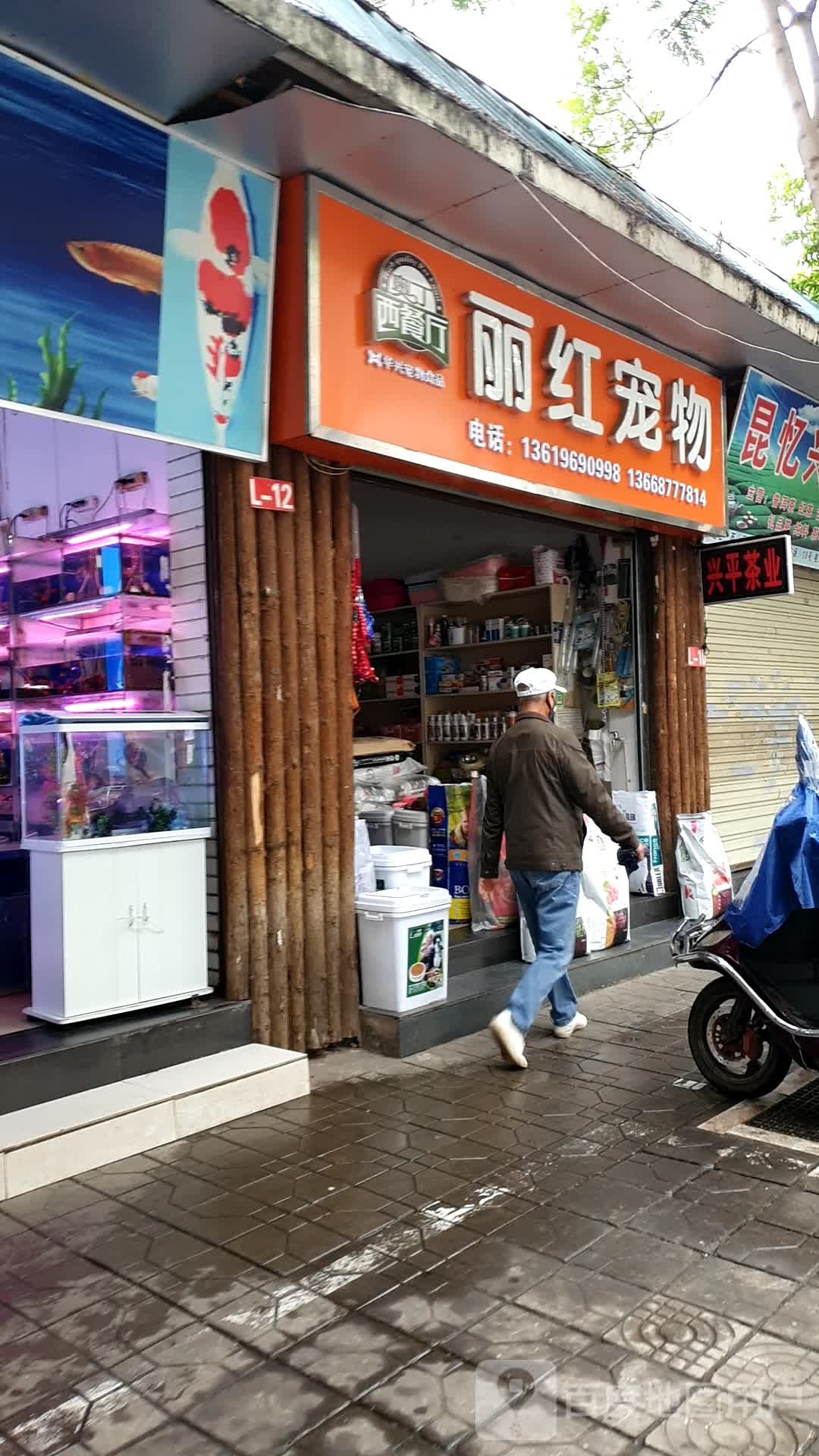 丽红宠物