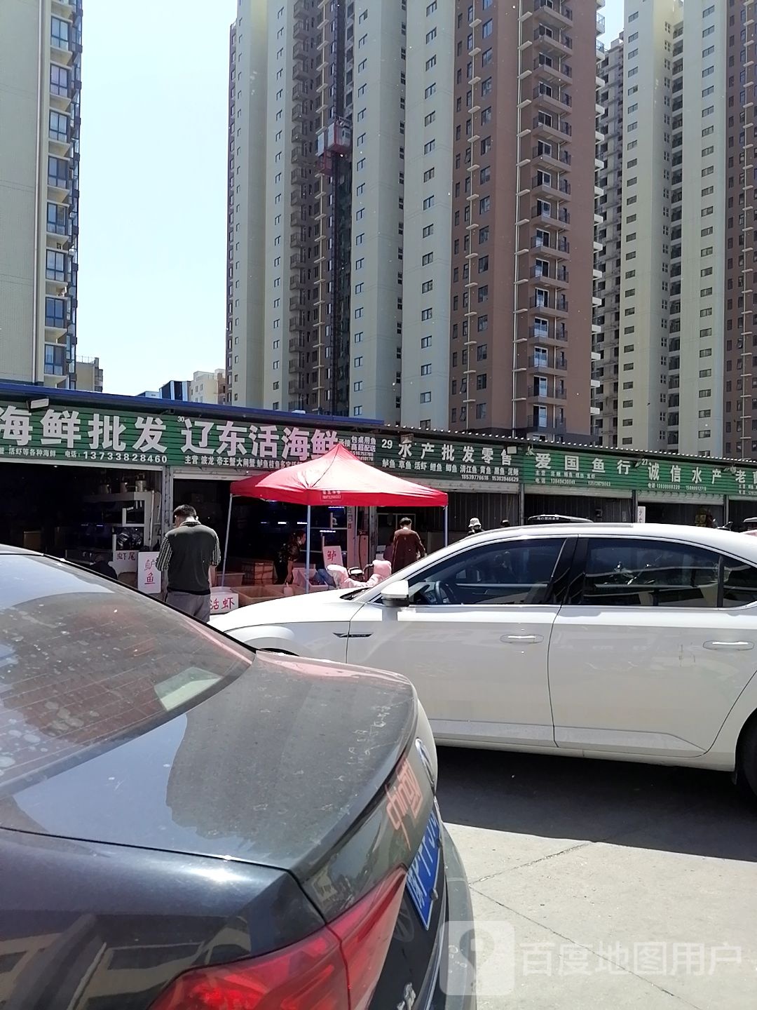 批发辽东活海鲜