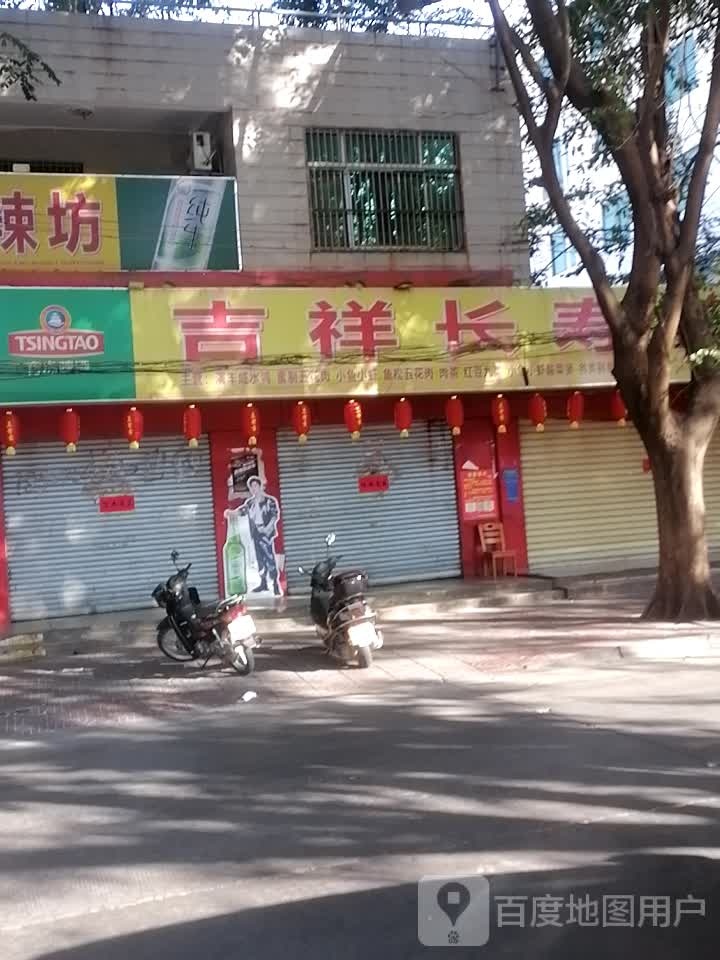 吉祥长寿鸭