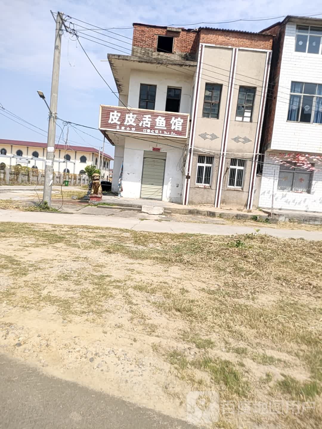 皮皮活鱼馆
