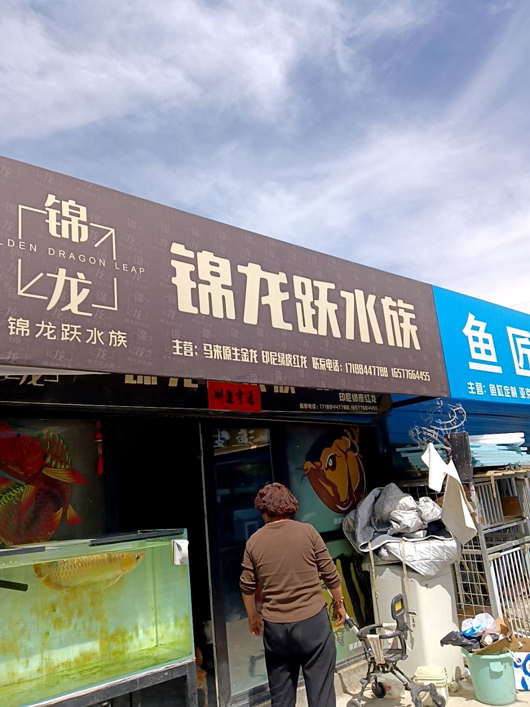 锦龙跃水族