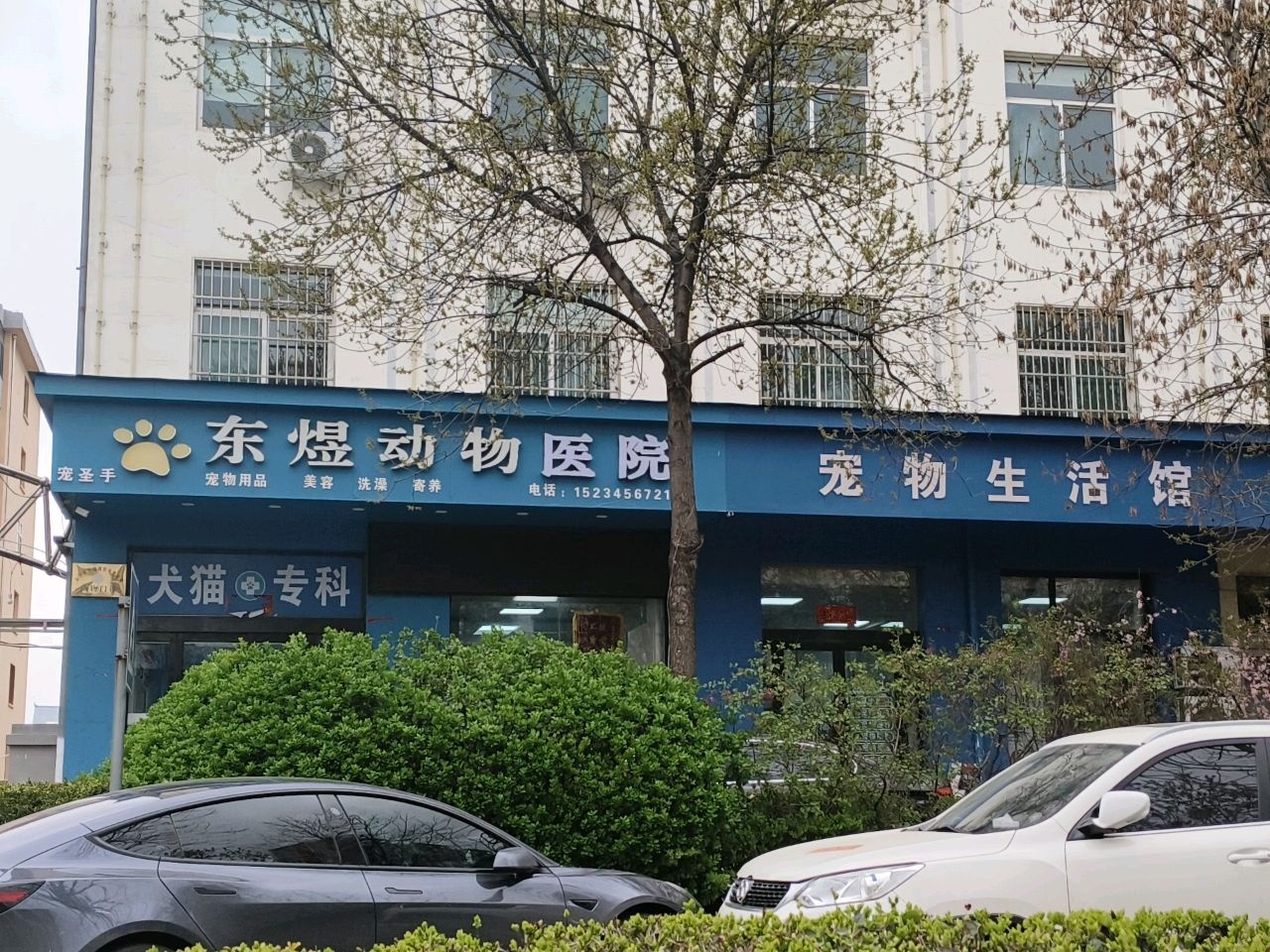 宠物生活馆