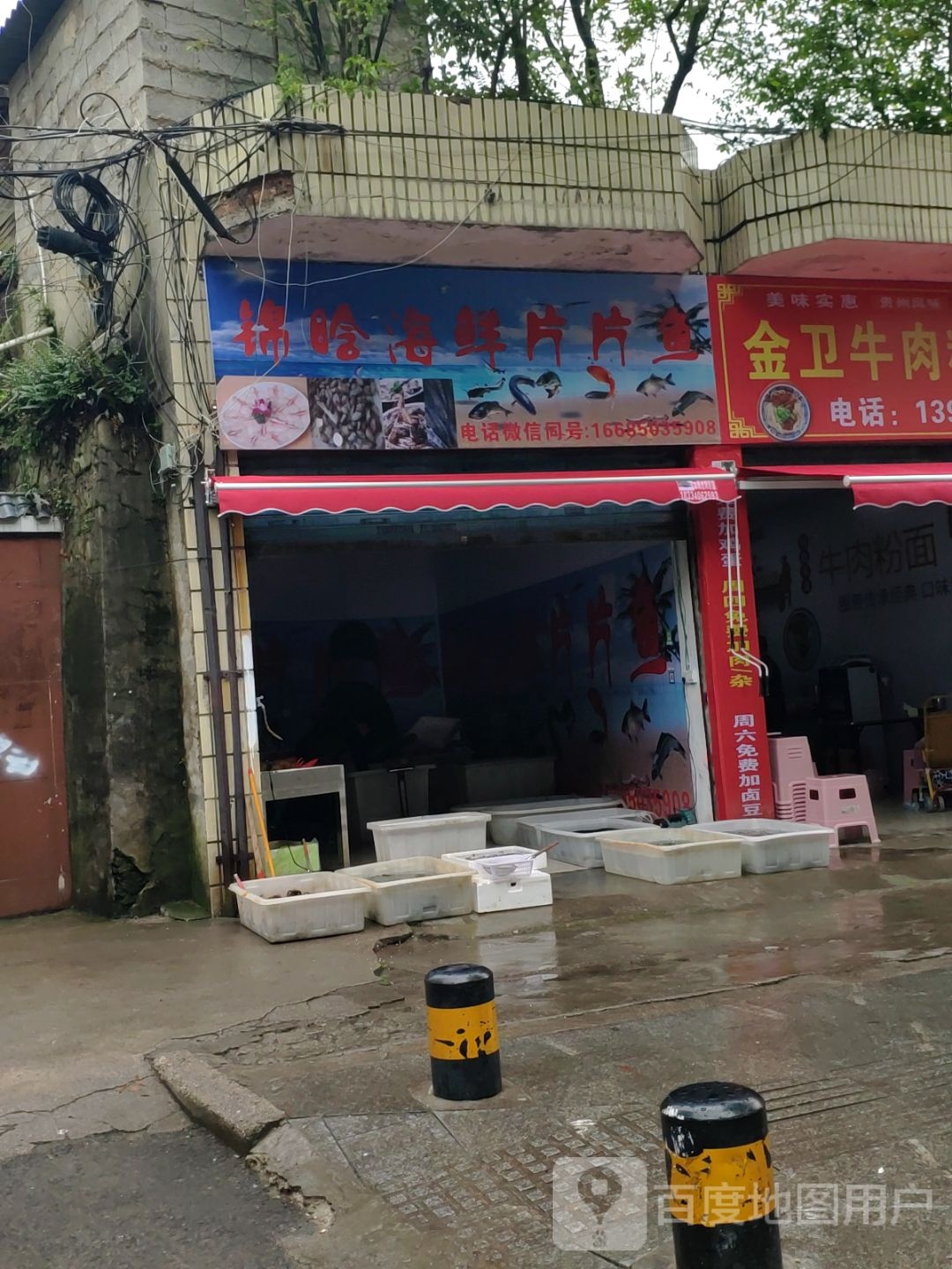 锦晗海先片片鱼
